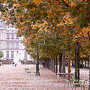 Paris Louvre Jardin Des Tuileries Autumn Fall Trees - Dreamy Tuileries Autumn Trees Nature Gardens Poster