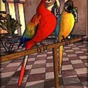 Parrots1 Poster