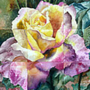 Partitioned Rose Poster