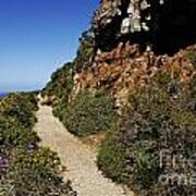 Path At Cape Of Good Hope Poster