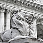 Patience The Nypl Lion Poster