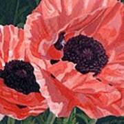 Peachy Poppies Poster