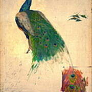 Peacock Study 1896 Poster