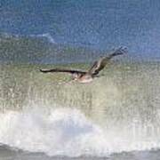 Pelican And Big Waves 4102 Poster