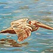 Pelican Skimming Poster