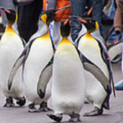 Penguin Parade Poster