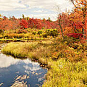 Pennsylvania Autumn Pocono Mountain Stream Poster