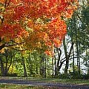 Peoria Riverfront Park In Autumn Two Poster