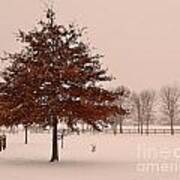 Perfect Winter Tree Poster