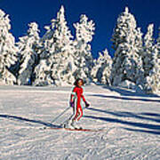 Person Skiing In Snow Covered Landscape Poster