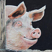 Piggy.  Sold Poster