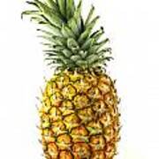 Pineapple Poster