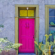 Pink Door Poster