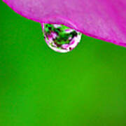 Pink Green Raindrop Poster