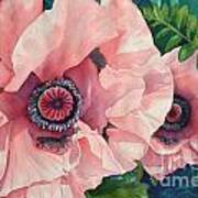 Pink Poppies Poster