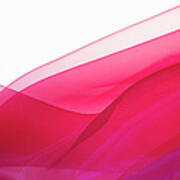 Pink Silk On A White Background Poster