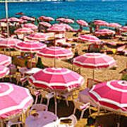 Pink Umbrellas Poster