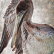 Plaid Pelican Poster