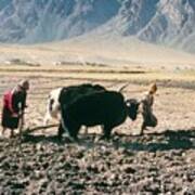 Ploughing Fields At Thonde Poster