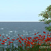 Poppies At The Seaside Poster