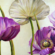 Poppies In Spring Ii Poster
