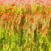 Poppies Of Tuscany Iii Poster