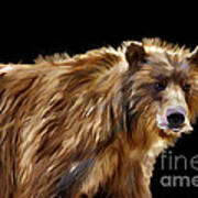 Portrait Brown Bear Poster