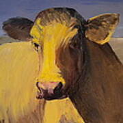 Portrait Of A Cow Poster