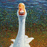 Portrait Of A Goose Poster