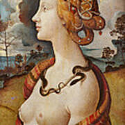 Portrait Of Simonetta Vespucci Poster