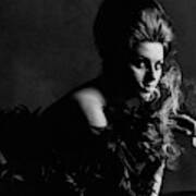 Portrait Of Sophia Loren Poster