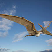 Pteranodon In Flight Poster