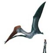 Pterosaur Poster