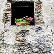 Puebla Window Flowers Poster