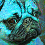 Pug 20130126v5 Poster