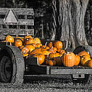 Pumpkin Cart Poster