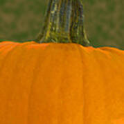 Pumpkin Up Close And Personal Poster