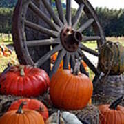 Pumpkin Wheel Poster