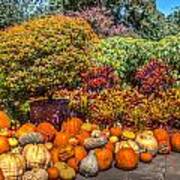 Pumpkins At The Garden Poster