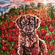 Puppy And Poppies Poster
