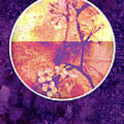 Purple Blossom Poster