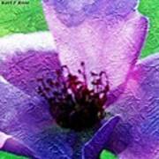 Purple Flower Poster