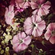 #purple #flowers #ihavenoclue #pretty Poster