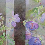 Purple Ivy Geranium Poster