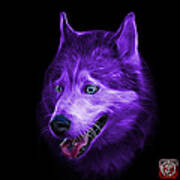Purple Siberian Husky Dog Art - 6062 - Bb Poster