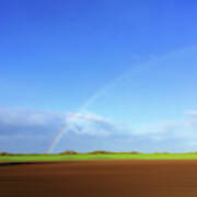 Rainbow In Field Poster