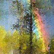 Rainbow In The Forest Poster