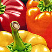 Rainbow Of Peppers Poster