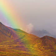 Rainbow Over Fall Tundra In Denali Poster