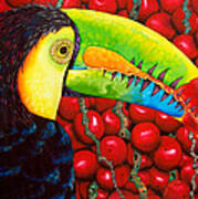 Rainbow Toucan Poster
